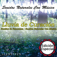 Llewellyn - Lluvia de Curación: Sonidos Naturales Con Música: Edición Especial