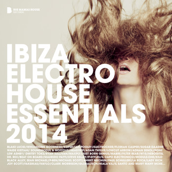 Various Artists - Ibiza Electro House Essentials 2014 (Deluxe Version)