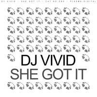 Dj Vivid - She Got It