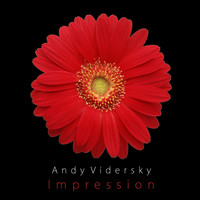 Andy Vidersky - Impression