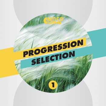 Various Artists - Progression Selection 1