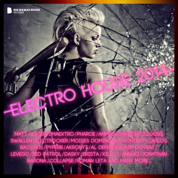 Various Artists - Electro House 2014 (Deluxe Version)