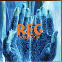 The Reg Project - The REG Project, Vol. 2