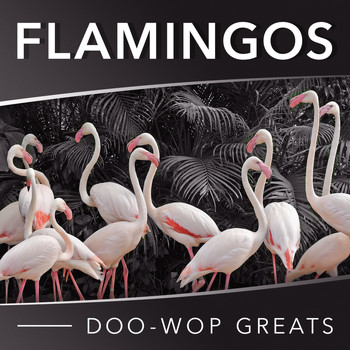 The Flamingos - Doo-Wop Greats