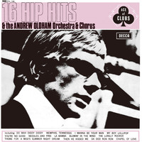 Andrew Oldham Orchestra & Chorus - 16 Hip Hits