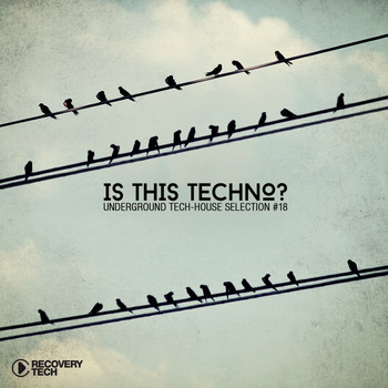 Various Artists - Is This Techno? Vol. 18