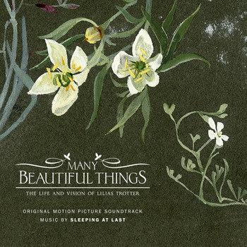 Sleeping At Last - Many Beautiful Things (Original Motion Picture Soundtrack)