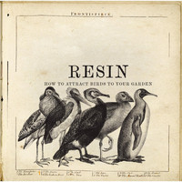 Resin - How to Attract Birds to Your Garden