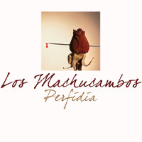 Los Machucambos - Perfidia