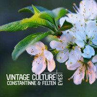 Vintage Culture, Constantinne & Felten - Eyes