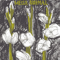 Mecca Normal - Mecca Normal