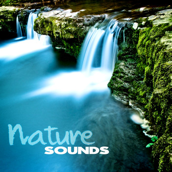 Nature Sounds - Nature Sounds – Water Sounds for Relaxation, Singing Birds for Spa, Ocean Sounds for Yoga & Meditation, Rain Sounds for Reiki, Wellness, Massage, Asian Zen