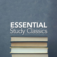 Studying Music and Study Music|Calm Music for Studying|Classical Study Music - Essential Study Classics