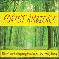 Steven Current - Forest Ambience: Nature Sounds for Deep Sleep, Relaxation, And Reiki Healing Therapy