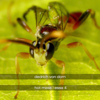 Dedrich Von Dorn - Hot Mess / Essa 4