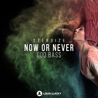 Steroize - Now or Never / God Bass