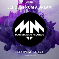 Platinum Project - Echoes from a Dream (Remix Contest Edition)