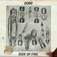 Domi - Risk of Fire