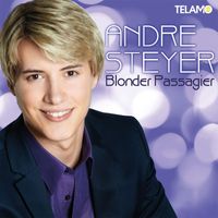 Andre Steyer - Blonder Passagier