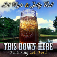 Lil Wyte & Jelly Roll - This Down Here (feat. Colt Ford) - Single (Explicit)