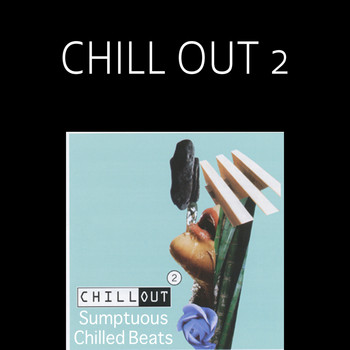 5 Alarm Various Artists - Chill Out; Vol. 2: Sumptuous Chilled Beats