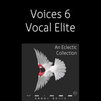 5 Alarm Various Artists - Voices 6: Vocal Elite