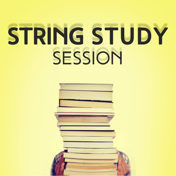 Violin - String Study Session
