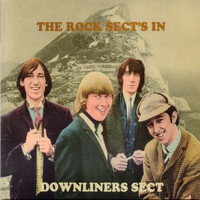Downliners Sect - The Rock Sect's In