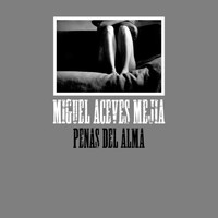 Miguel Aceves Mejia - Penas del Alma