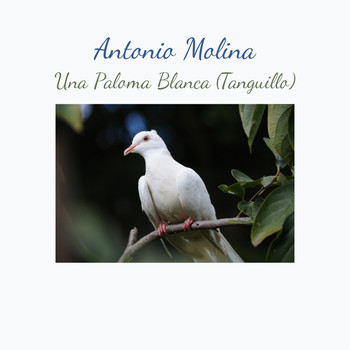 Antonio Molina - Una Paloma Blanca (Tanguillo)
