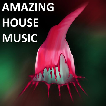 Various Artists - Amazing House Music