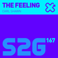 Carl Shawn - This Feeling