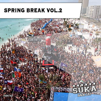 Various Artists - Spring Break, Vol. 2