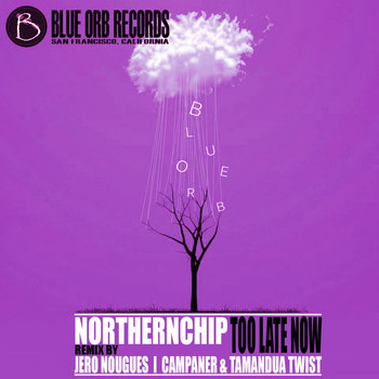 Northernchip - Too Late Now