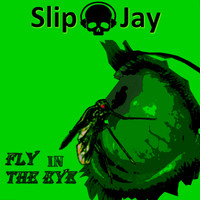 Slip Jay - Fly in the Eye