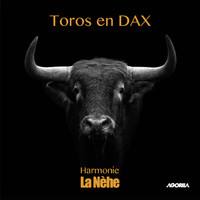 Harmonie la nèhe - Toros en Dax