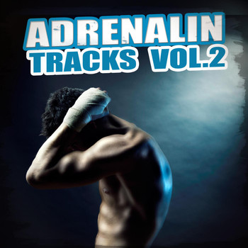 Various Artists - Adrenalin Tracks, Vol. 2