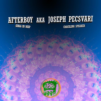 Afterboy a.k.a. Joseph Pecsvari - Girls in Deep Crackling Speaker
