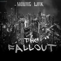 Young Link - The Fallout