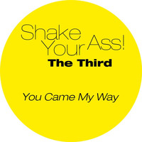 Shake Your Ass - The Third