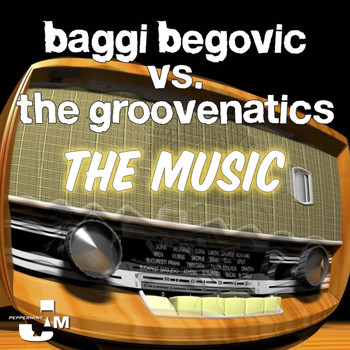 Baggi Begovic vs. Groovenatics - The Music