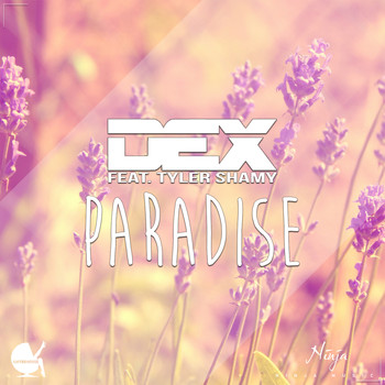 Dex - Paradise (feat. Tyler Shamy)