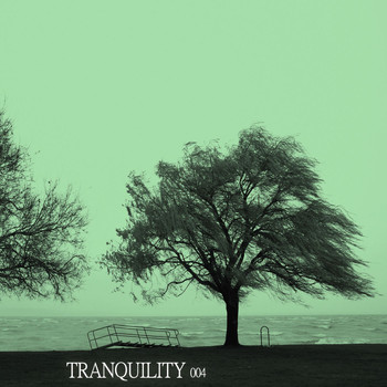Various Artists - Tranquility 004