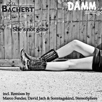 Falk Bachert - She's Not Gone