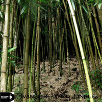 Ivanshee - Wild Jungle
