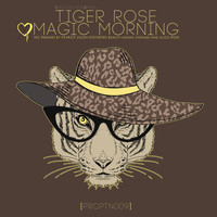 Tiger Rose - Magic Morning