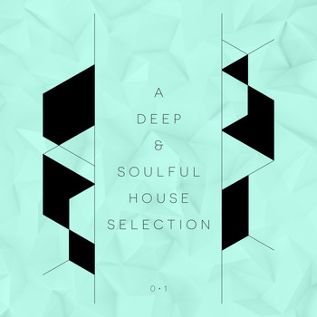 Various Artists - A Deep & Soulful House Selection, Vol. 1 (Explicit)