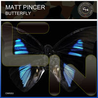 Matt Pincer - Butterfly