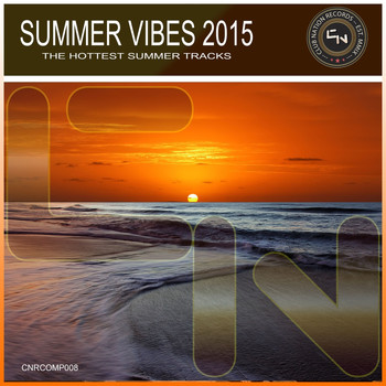 Various Artists - Summer Vibes 2015