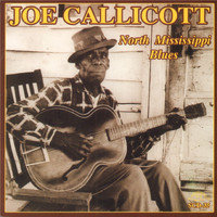 Joe Callicott - North Mississippi Blues